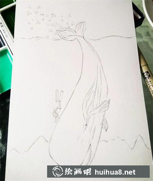 鲸鱼插画