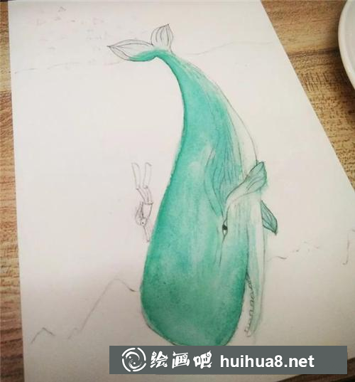 鲸鱼插画