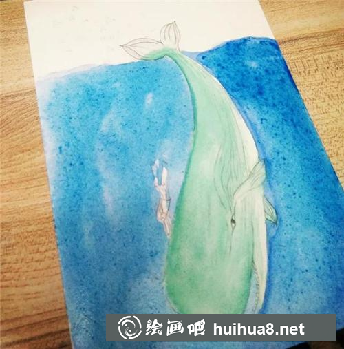 鲸鱼插画