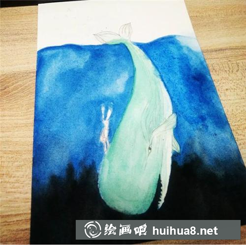 鲸鱼插画