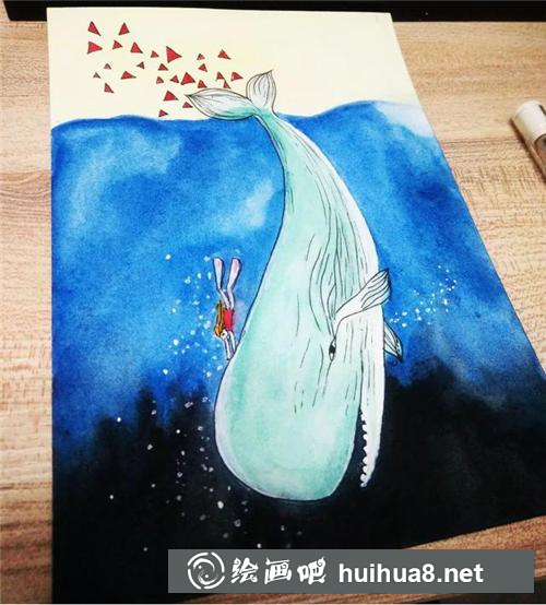 鲸鱼插画
