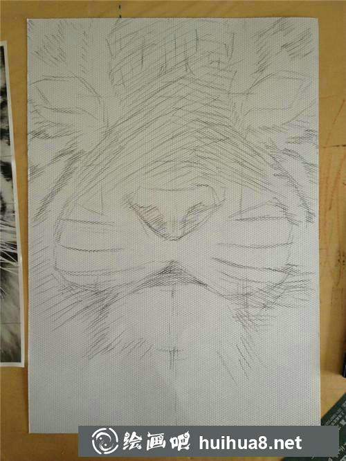 老虎插画