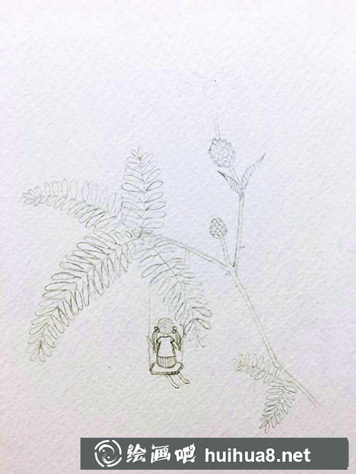 含羞草插画 含羞草插画