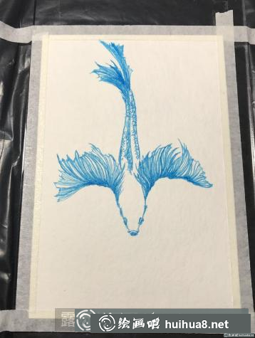 钢笔画斗鱼