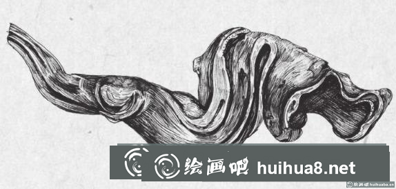 钢笔画枯树根步骤