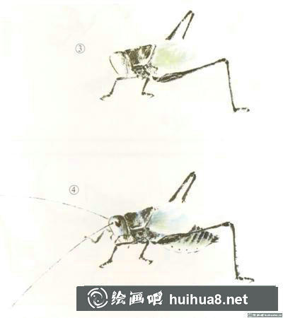 蝈蝈的画法 蝈蝈的画法