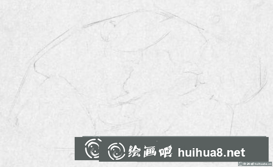 钢笔画鹅卵石