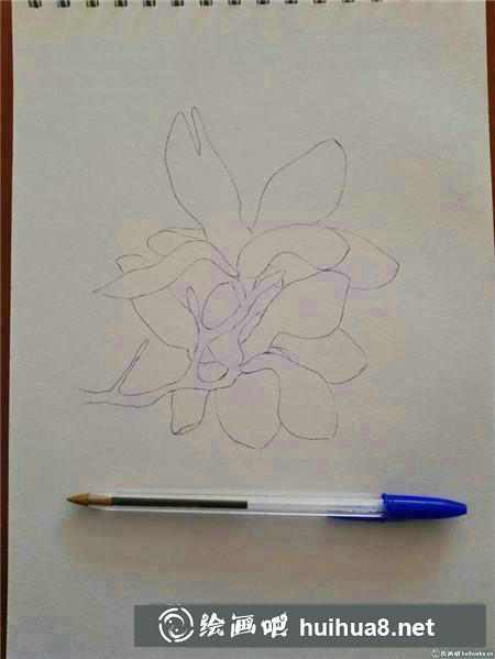 钢笔画教程