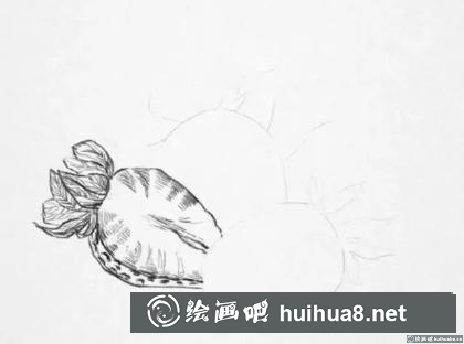 素描画草莓