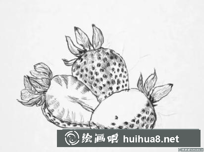 素描画草莓