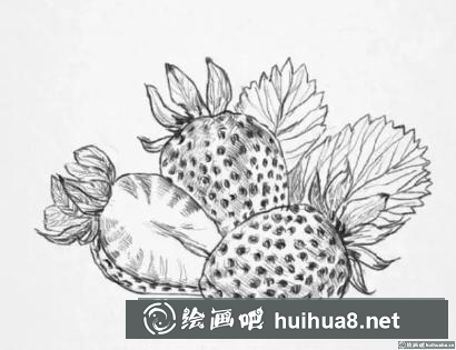 素描画草莓