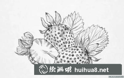 素描画草莓