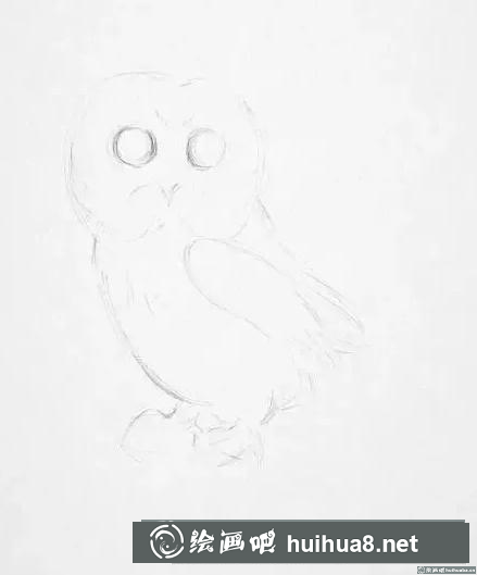 素描画猫头鹰
