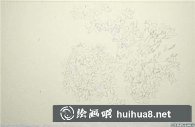 桃花水彩 桃花水彩