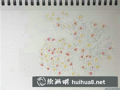 桃花水彩 桃花水彩