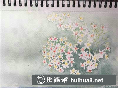 桃花水彩 桃花水彩
