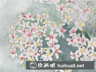 桃花水彩 桃花水彩