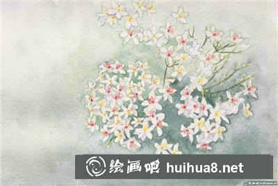 桃花水彩 桃花水彩