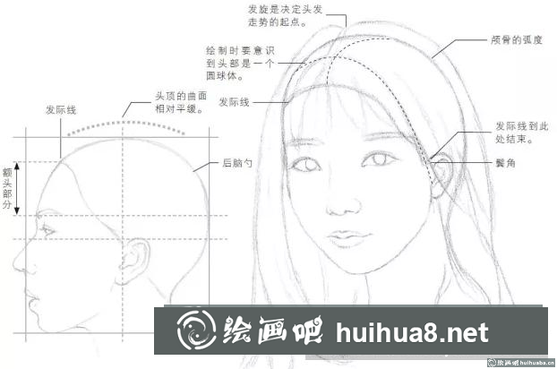 头发结构