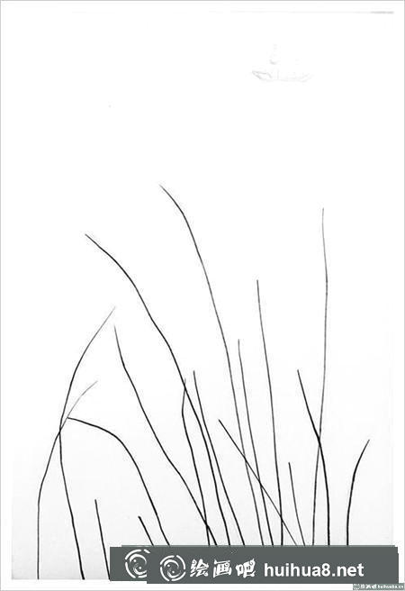 钢笔画教程