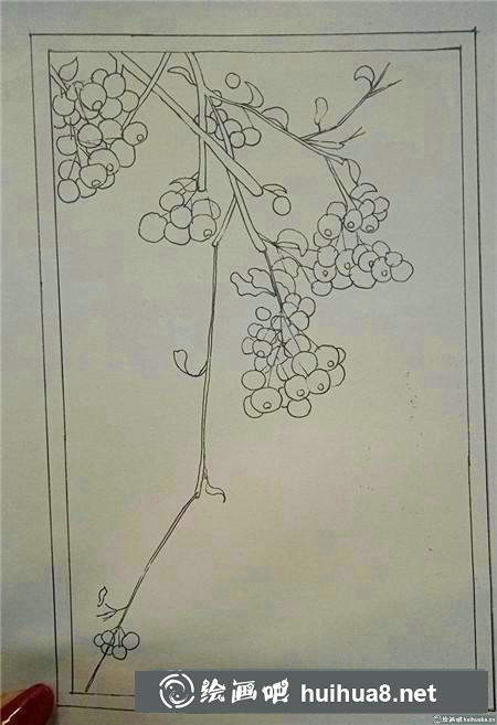 插画教程