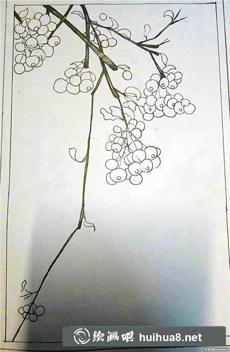 插画教程