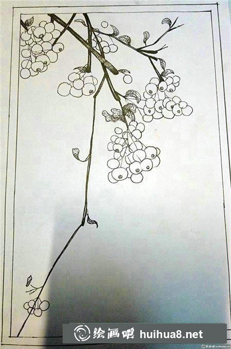 插画教程