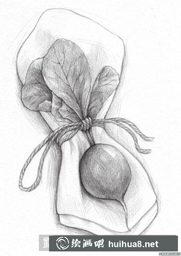 素描画小萝卜 素描画小萝卜