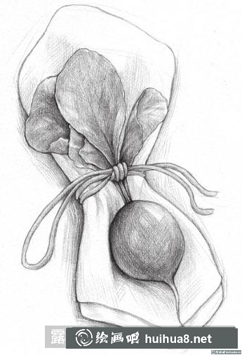 素描画小萝卜 素描画小萝卜