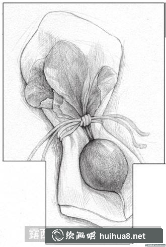 素描画小萝卜 素描画小萝卜