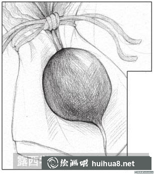 素描画小萝卜 素描画小萝卜