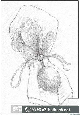 素描画小萝卜 素描画小萝卜