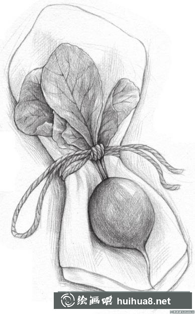 素描画小萝卜 素描画小萝卜