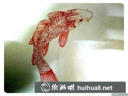 插画教程 插画教程