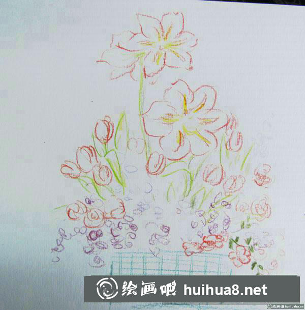 一盆蔷薇花插画