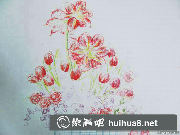一盆蔷薇花插画