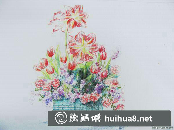 一盆蔷薇花插画