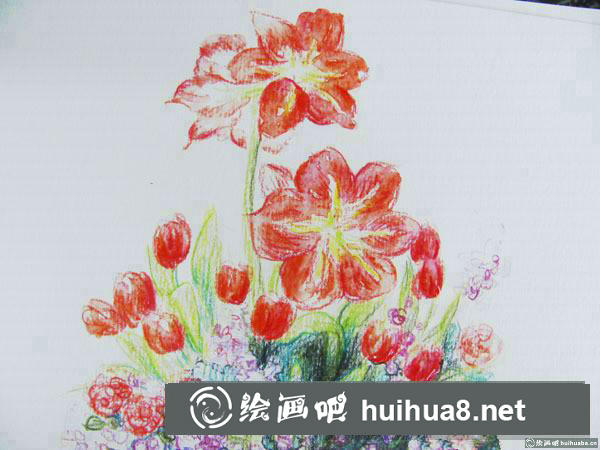 一盆蔷薇花插画