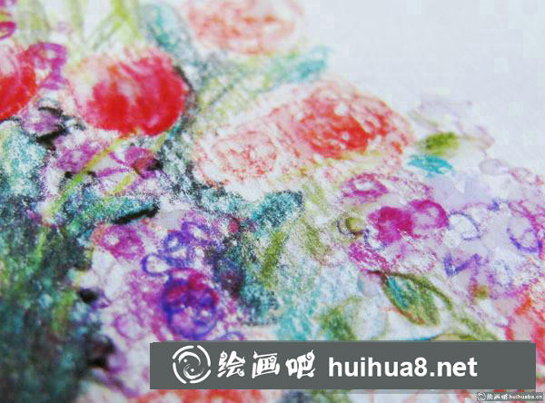 一盆蔷薇花插画