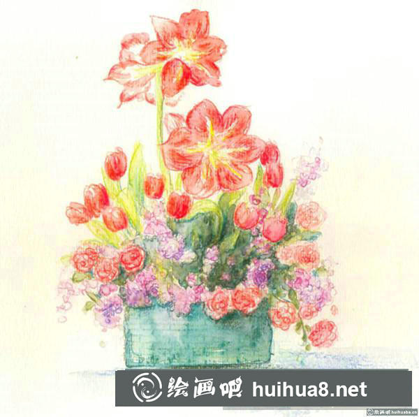 一盆蔷薇花插画