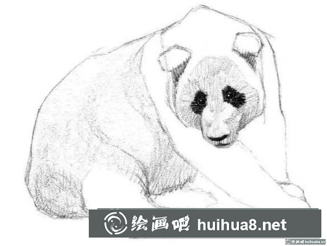 素描画大熊猫