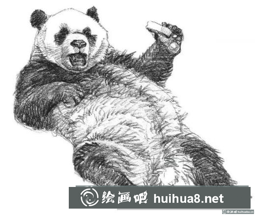 素描画大熊猫