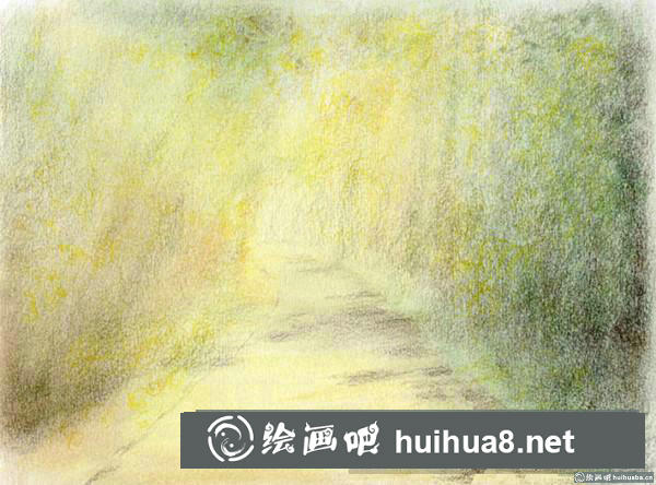 林荫小路插画