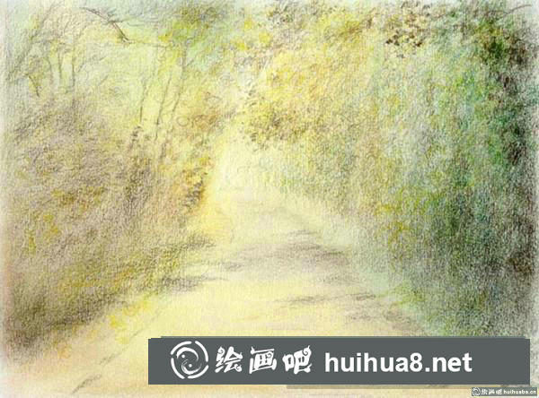 林荫小路插画