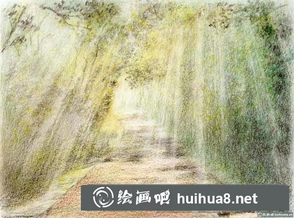 林荫小路插画