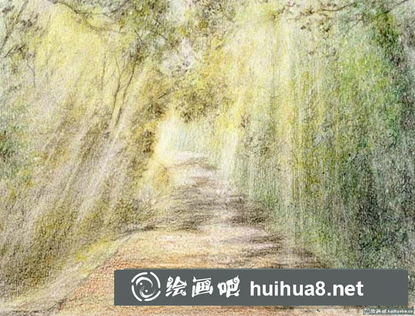林荫小路插画