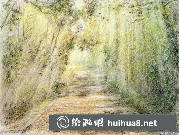 林荫小路插画