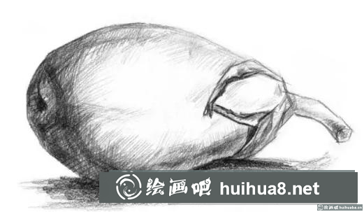 素描画茄子