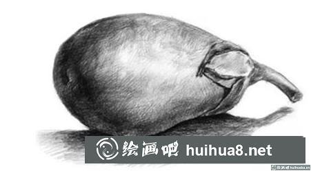 素描画茄子