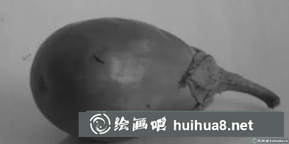 茄子原图